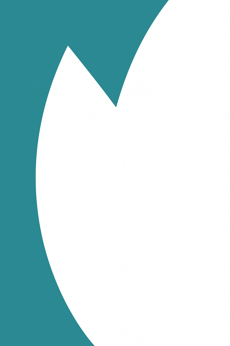 Reliable Cyprus web hosting services offered by RocketHost.cy with secure, high-performance VPS, dedicated servers, and cloud hosting solutions tailored for businesses and websites.